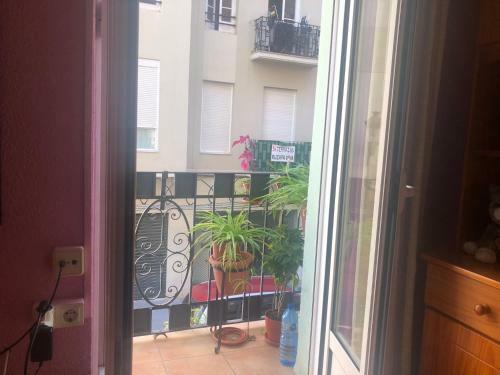 Habitaci�n Privada En Ruzafa