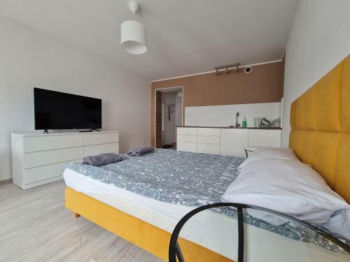Apartamenty Horzyca