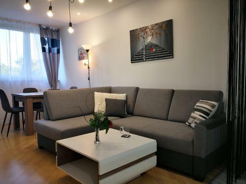 Apartament Alfa