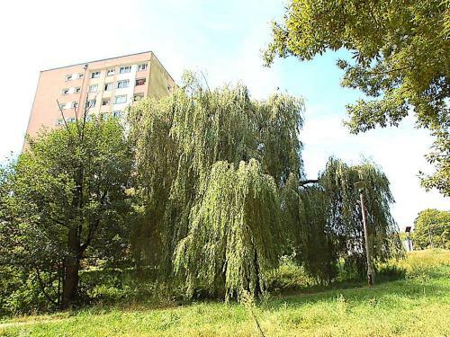 Apartament Nad Strug?