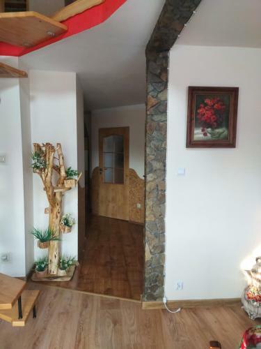 Apartament Ustjanowa G�rna