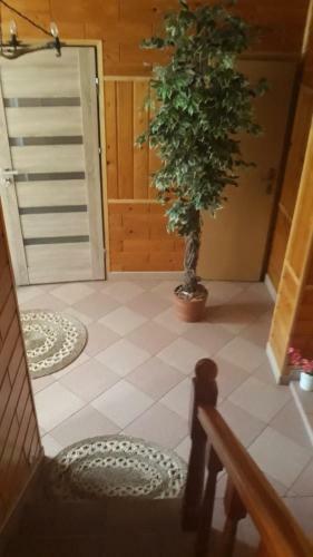 Apartament Ustjanowa G�rna