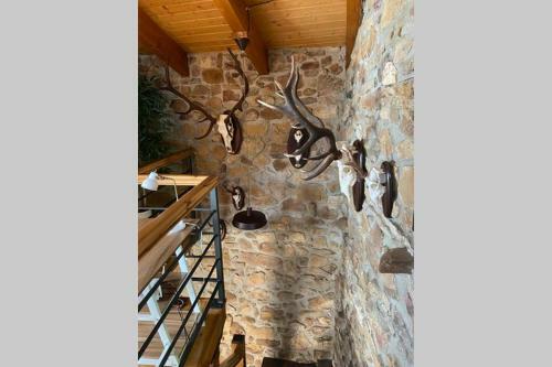 El Refugio I De Verdiago