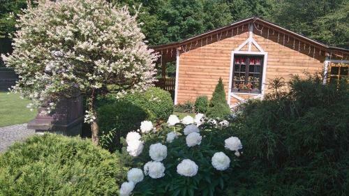 Bed & Breakfast Gosciniec Pod Brzegiem