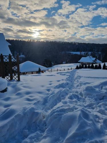 Villa Dom U Julii Nad Strwi??em
