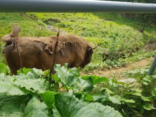 Agroturismo Dom Na Rozdro?u