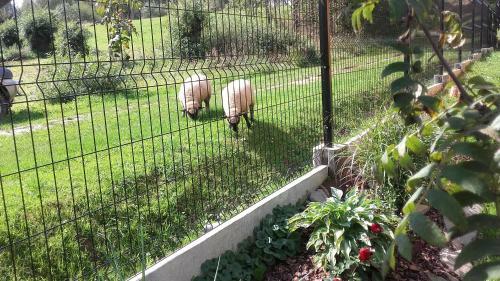 Agroturismo Dom Na Rozdro?u
