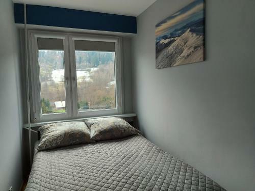 Apartament Bieszczadzka Anio?omania