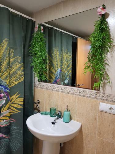Apartamento Ex�tico En Primera L�nea De Vera-playa!