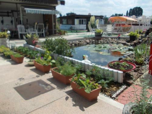Apartamento Osrodek Agroturystyczny Tb Wilczyn