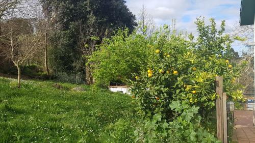 Vivienda Vacacional El Prau