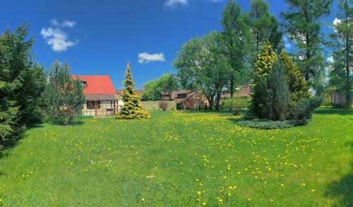 Agroturystyka Falinka