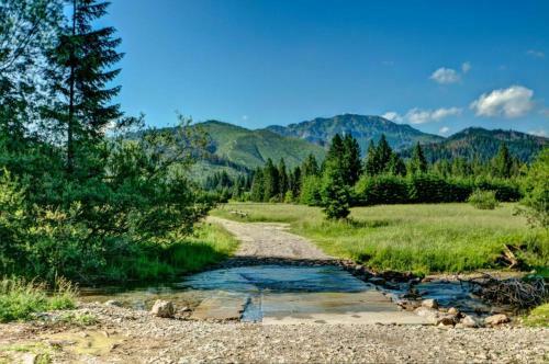 Domek G�ralski Nad Potokiem