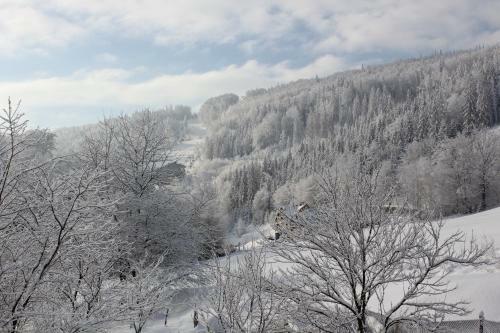 Bed & Breakfast Hillton Jawornik