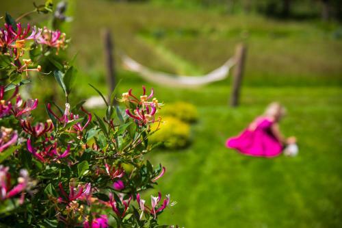 Bed & Breakfast Hillton Jawornik