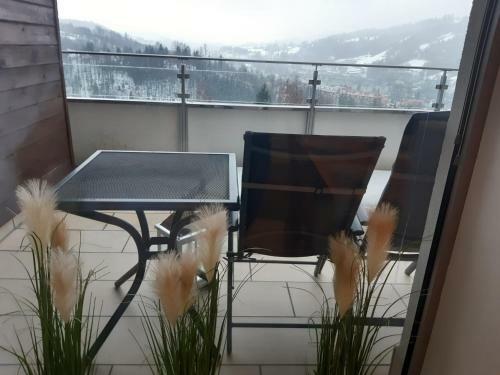 Apartament Wis?a Bukowa