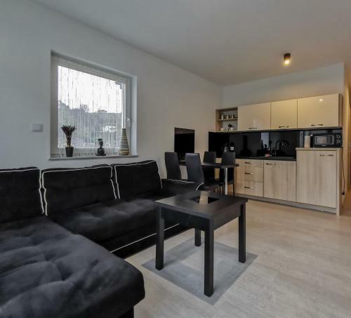 Apartament Kopyd?o