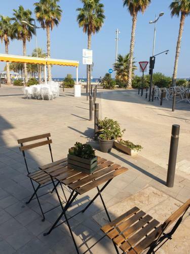 Apartamento Ar33, Planta Baja Primera L�nea Del Casco Antiguo