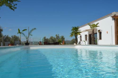 La Perdiz De Molinca