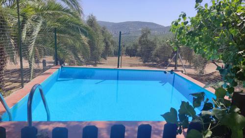 La Perdiz De Molinca
