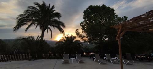 La Perdiz De Molinca