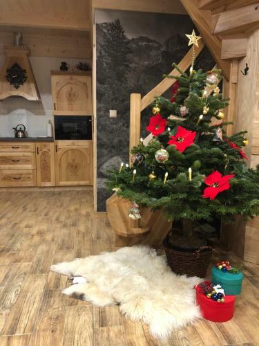 Domek Tatrza?ska Zyngierka