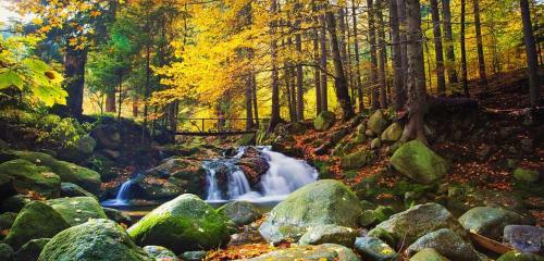 Gajowe Zacisze U Gryfiego