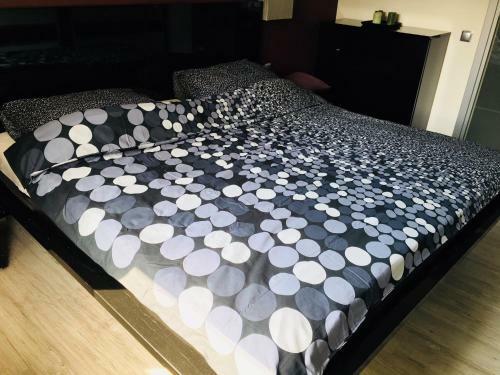 Apartament Ala
