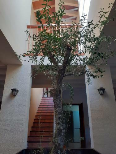 Apartamento Casa Rural Entreaguas