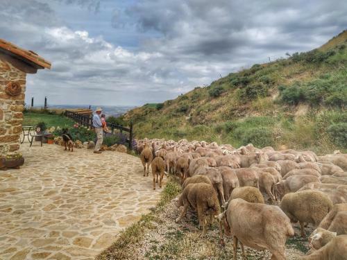Agroturismo Mas�a El Cabrero