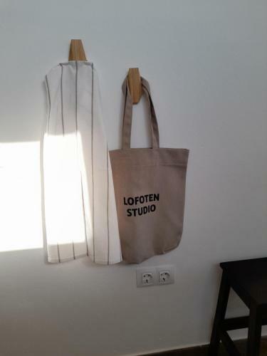 Apartamento Lofoten Studio
