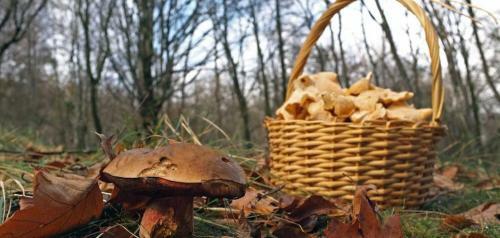 La Casita De Vistabella