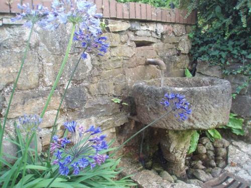 Casa De Vacaciones La Rivera