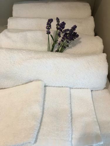 Apartamenty Metro S?odowiec, ?eromskiego 1