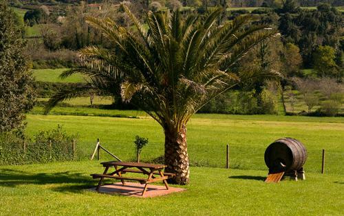 Apartamentos Vega Rodiles El Campu