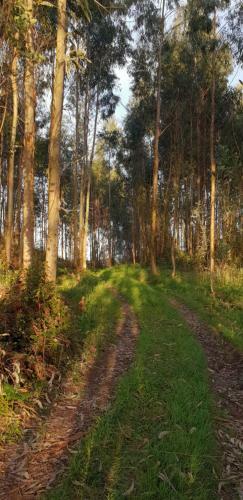 Agroturismo Turismo Rural El Piensu