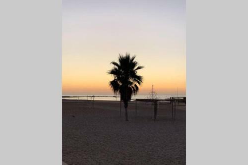 Apartamento Piso Junto Al Mar - Playa A 2 Minutos