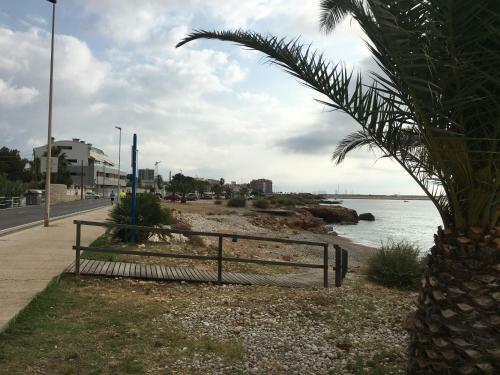 Apartamento Avinguda De Pau B�jar