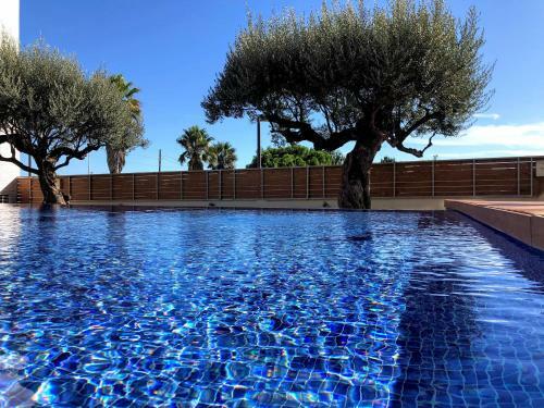 Apartamento Avinguda De Pau B�jar