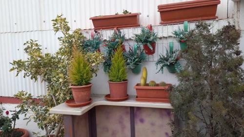 Apartamento La Terraza