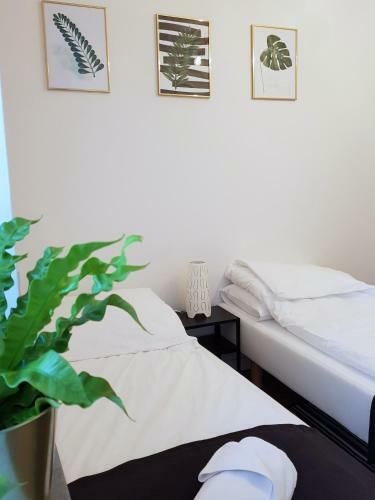 Apartamenty Metro Targ�wek
