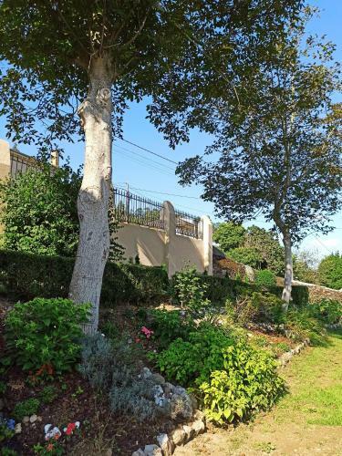 Apartamentos Minas De Silvarosa