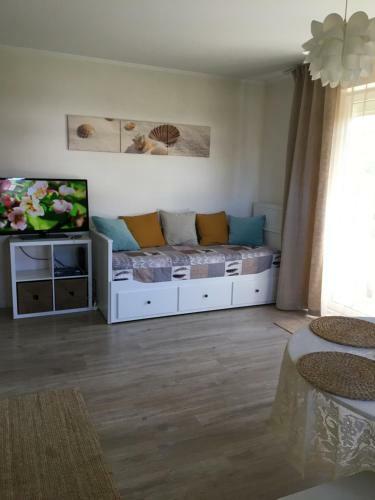 Apartament Korab W?adys?awowo-cetniewo