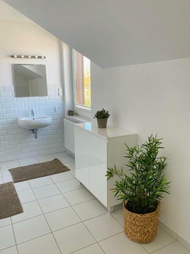 Apartament W?adys?awowo