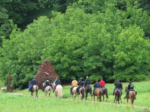 Agroturismo Albergue Olasenea Aterpea