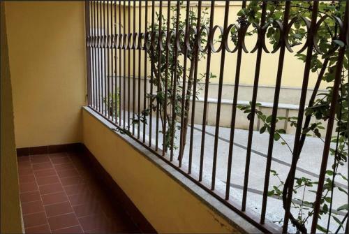 Hostal Piso En El Casco Antiguo