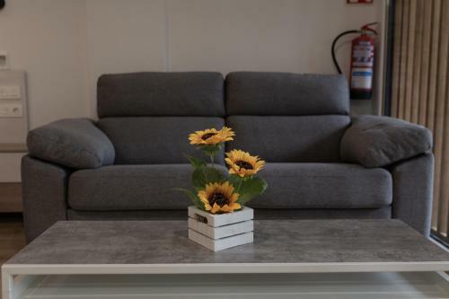 Apartamento Loft En Zarauz Con Parking Hator 1