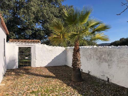 Finca La Vicaria Romero