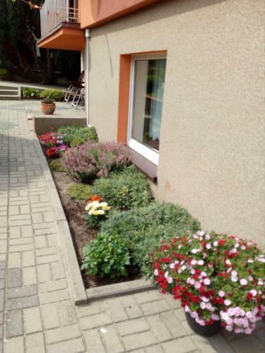 Hostal Apartament I Pokoje Go?cinne Budnik
