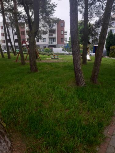 Apartament Oliwkowa Per?a